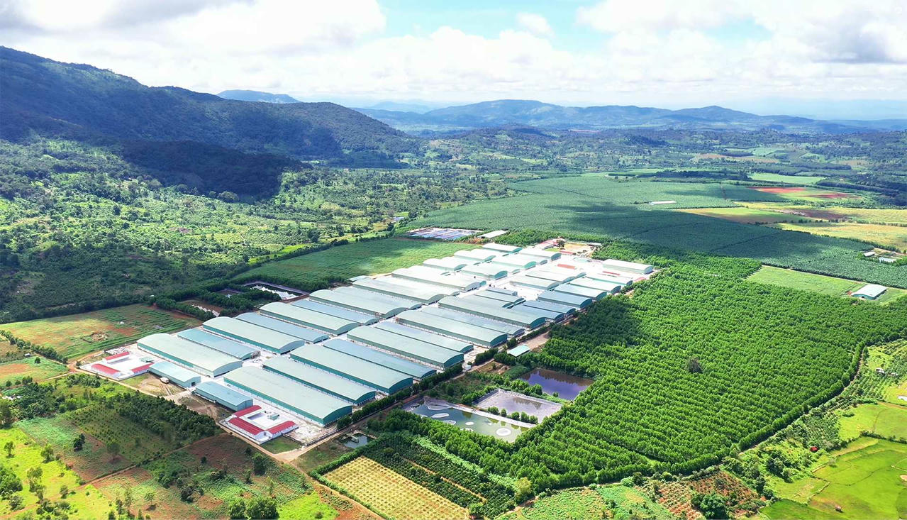 Nông nghiệp, dịch vụ và công nghệ là những lĩnh vực sẽ được OCB gia tăng mở rộng trong năm 2026