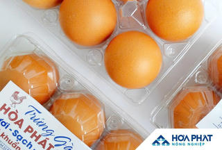 IPO Nông nghiệp Hòa Phát: Chào bán 30 triệu cổ phiếu, giá 41.900 đồng