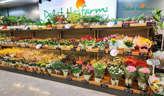 Dalat Hasfarm thâu tóm công ty hoa tươi tại Úc